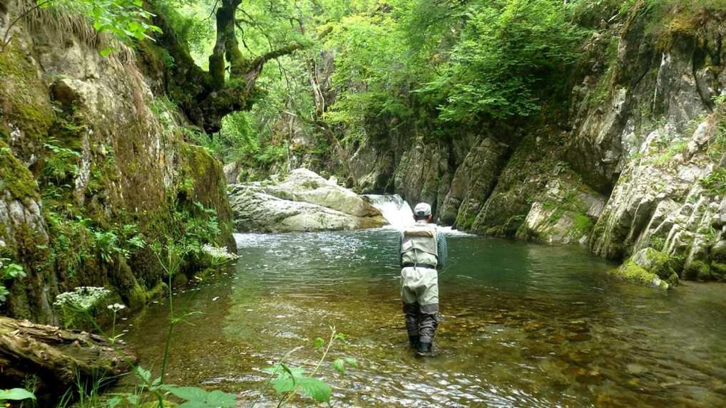 Gites Communaux A Lourdios Esterno foto