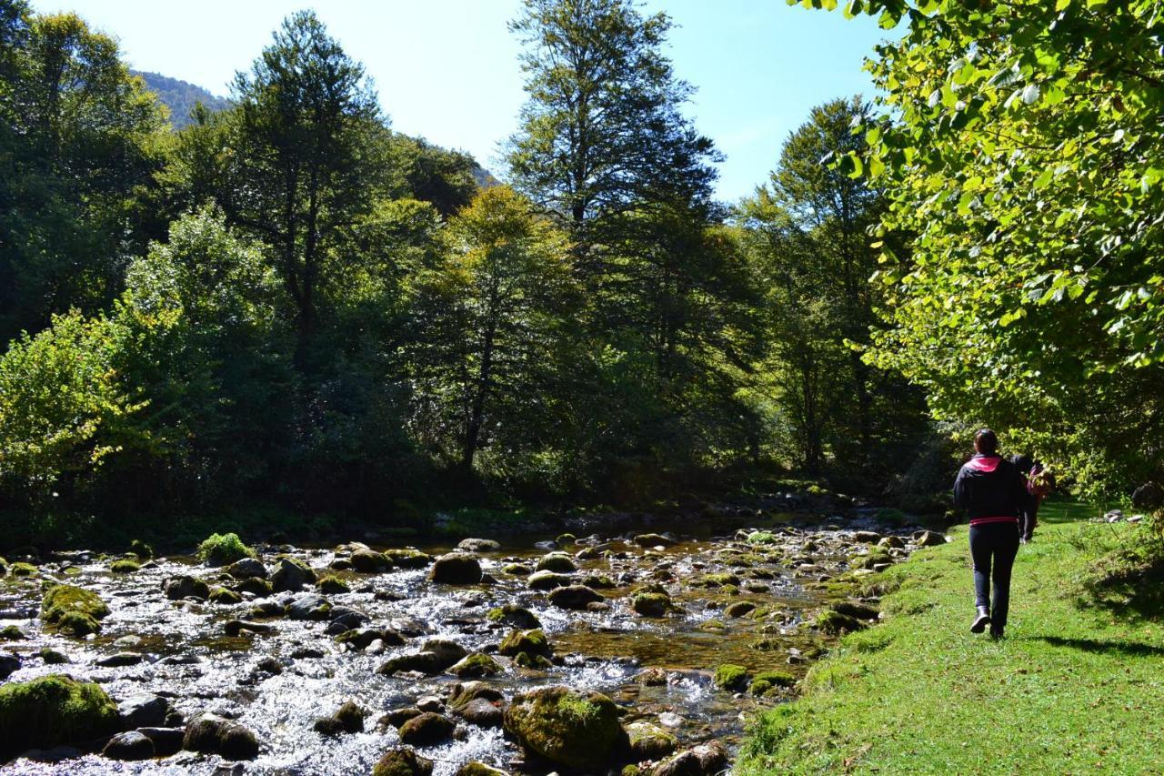 Gites Communaux A Lourdios Esterno foto