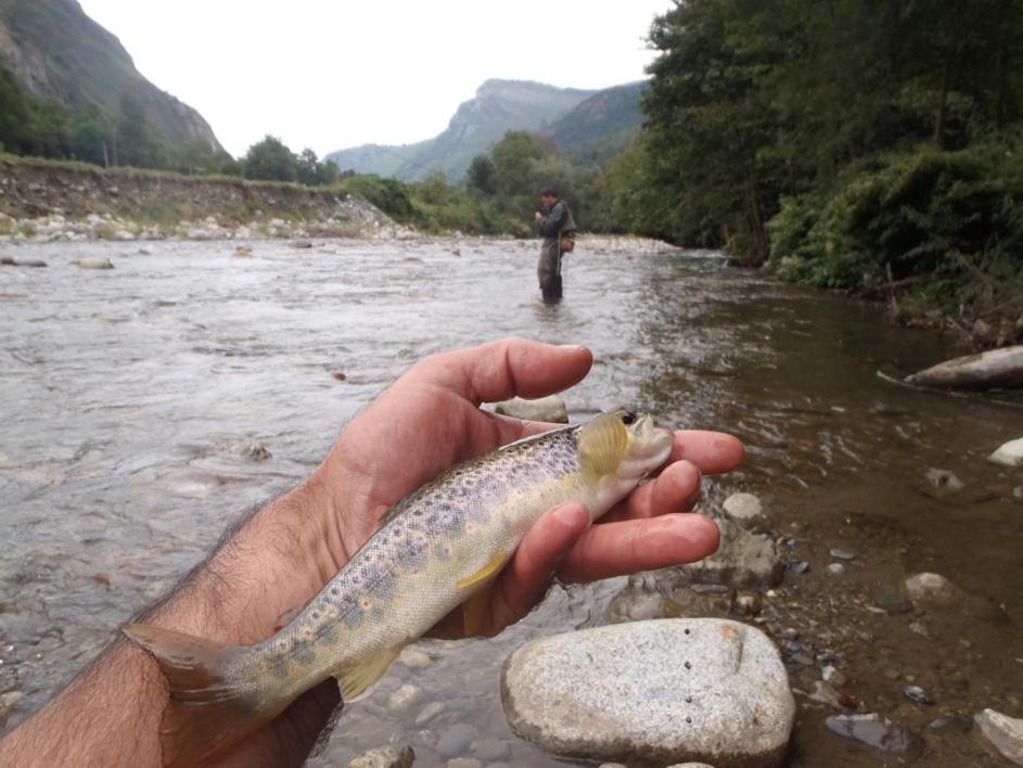 Gites Communaux A Lourdios Esterno foto
